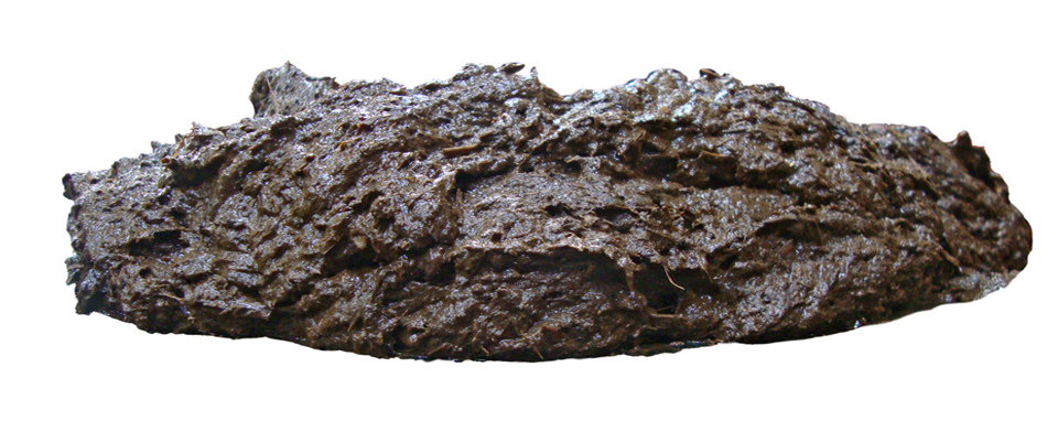 Header_NutriFibre_1900x500.jpg